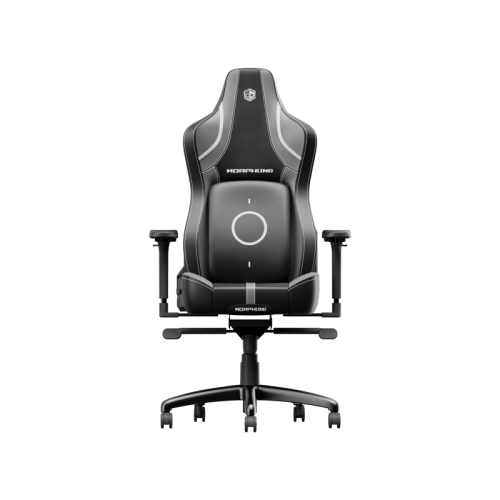 Ergonomic Gaming Chair