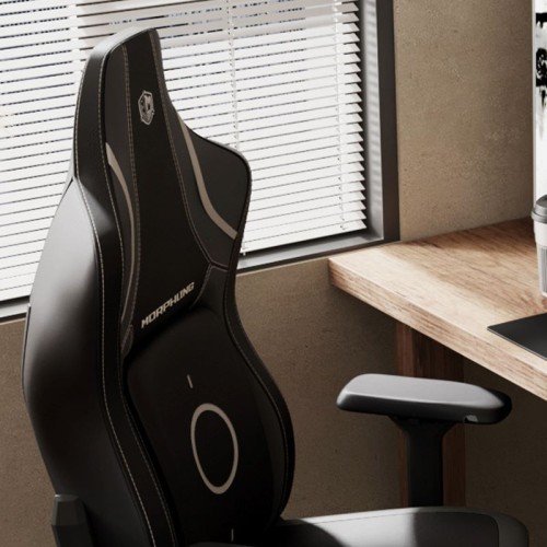 Ergonomic Gaming Chair